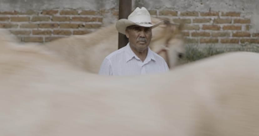 Caballerango 2019