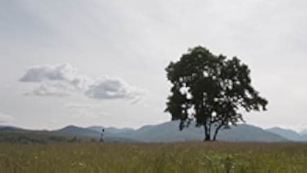 The Oil Machine 2022