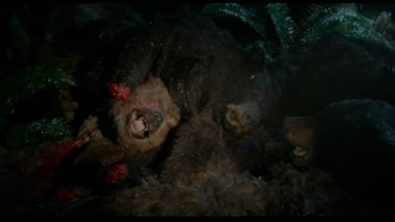 Into the Grizzly Maze 2015
