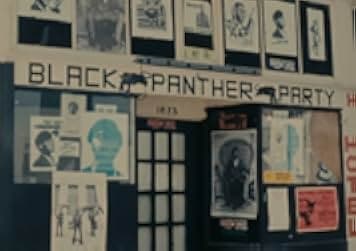 Black Panthers 2015