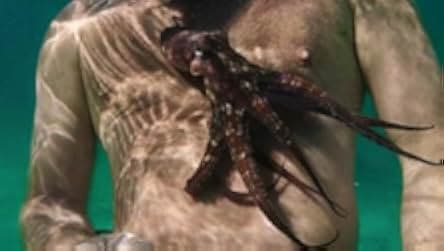 My Octopus Teacher 2020