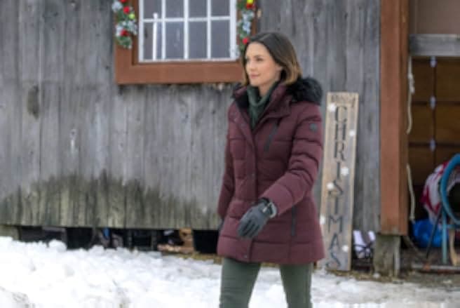 Christmas Festival of Ice 2017