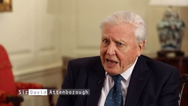 A Plastic Ocean 2016