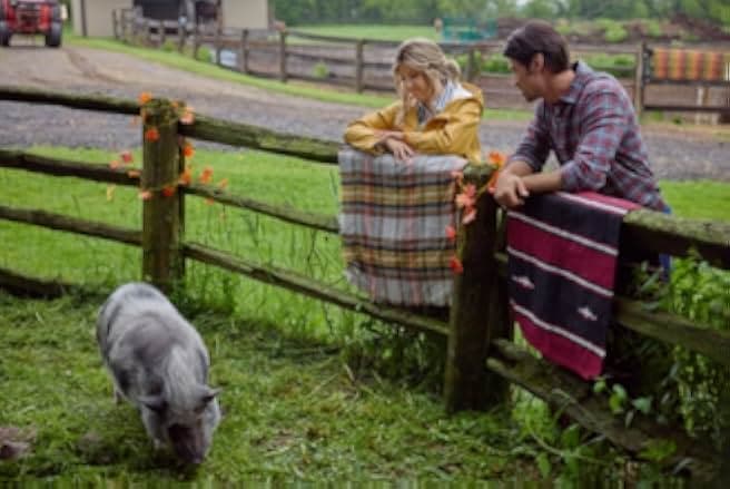 The Heiress and the Handyman 2024