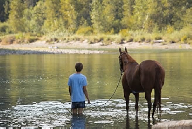Lean on Pete 2017