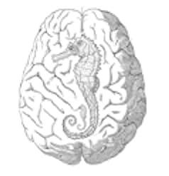 The Almond and the Seahorse 2022