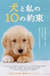 10 Promises to My Dog 2008
