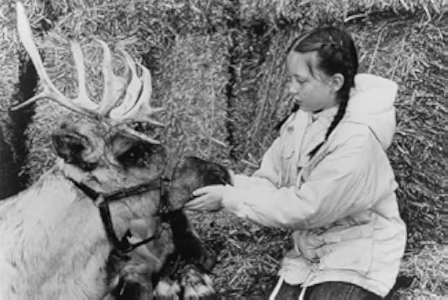 Prancer 1989