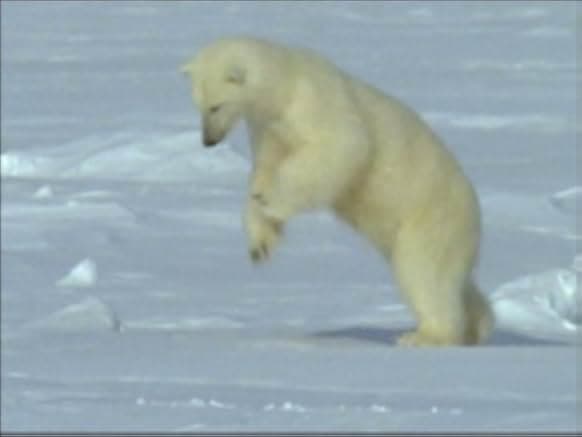 The Blue Planet 2002