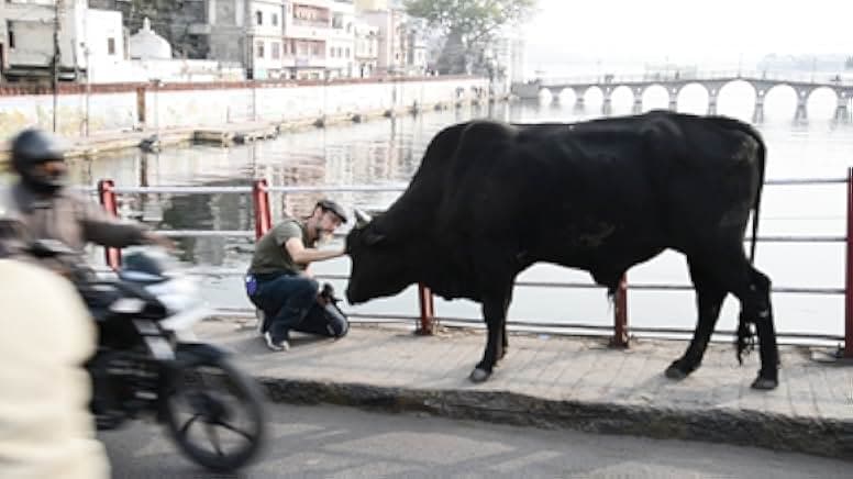 A Prayer for Compassion 2019