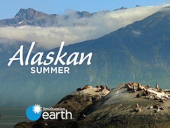 Alaskan Summer 2017