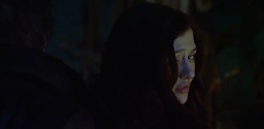 The Dark Stranger 2015