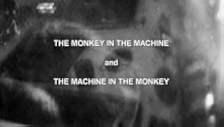 All Watched Over by Machines of Loving Grace