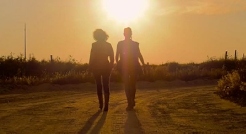 In the Moon's Shadow 2019