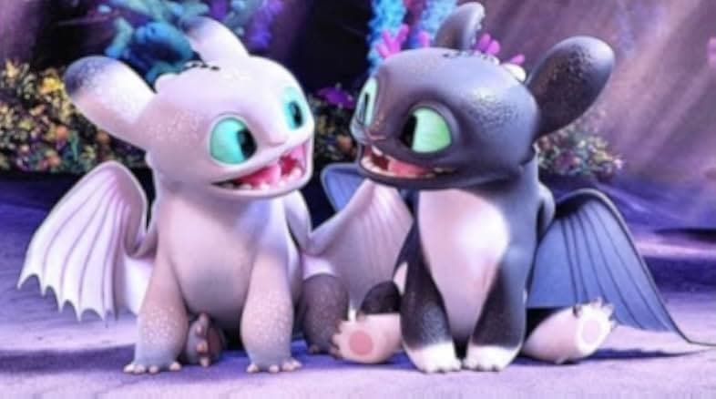 How to Train Your Dragon Homecoming 2019