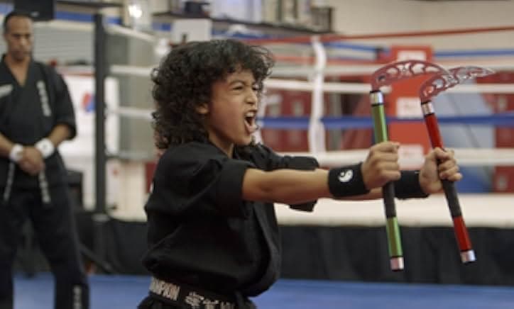 The Martial Arts Kid 2015