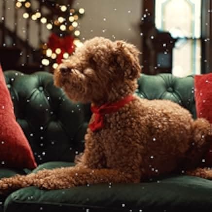 Chocolate Covered Christmas 2020