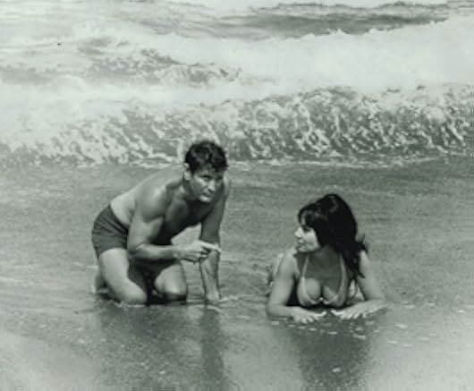 The Hell with Heroes 1968