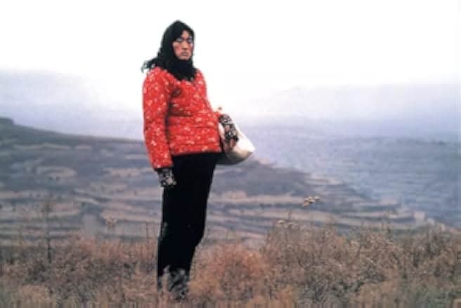 Qiu Ju da guan si 1992