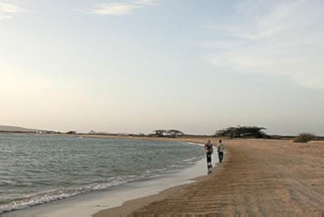 Los viajes del viento 2009