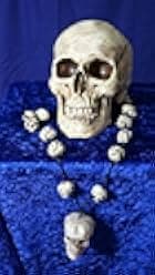 Skullz 2019