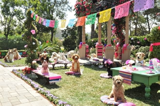 Beverly Hills Chihuahua 3: Viva La Fiesta! 2012