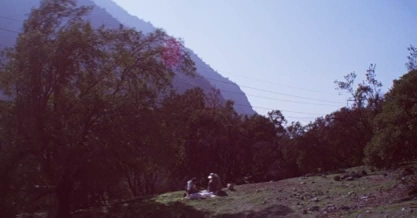 My Tender Matador 2020