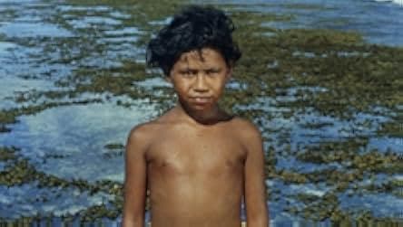 Tiko and the Shark 1962