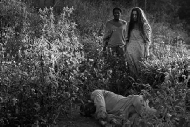 Vazante 2017