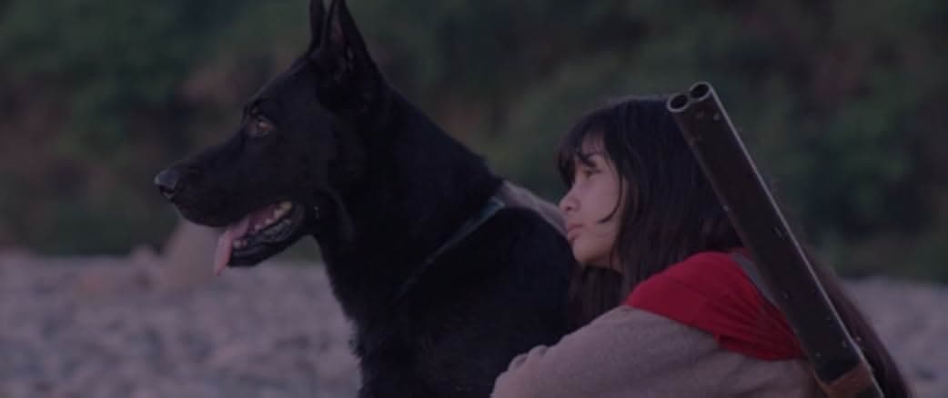 Birdshot 2016