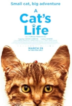 Mon chat et moi, la grande aventure de Rroû 2023