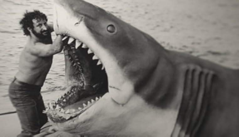 Sharksploitation 2023