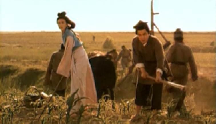 The Assassin 1993