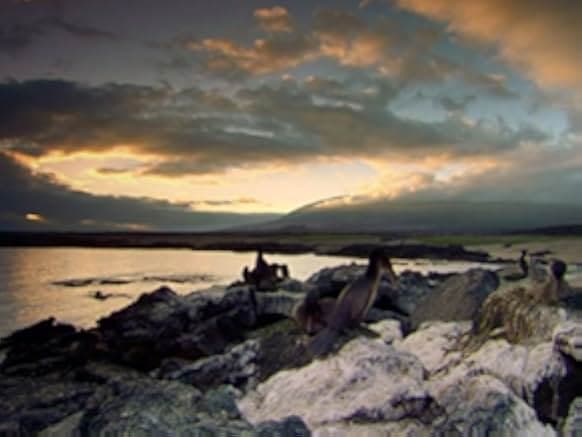 Wildest Islands 2012–