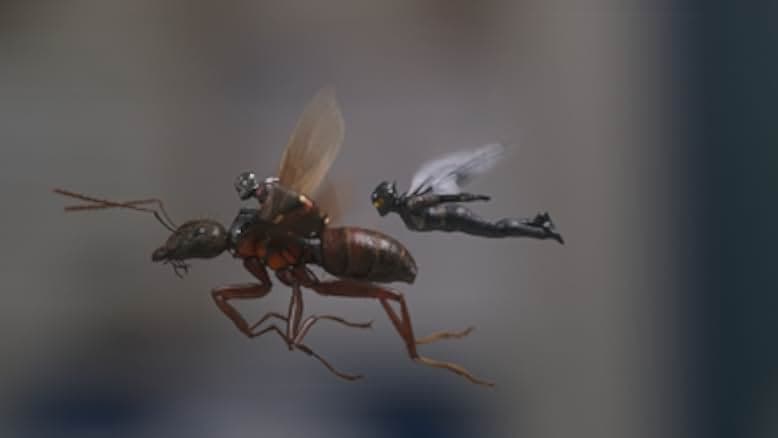 Ant-Man and the Wasp 2018