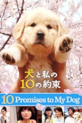 10 Promises to My Dog 2008