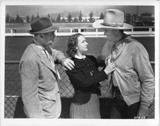 Three Texas Steers 1939