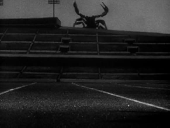 The Black Scorpion 1957
