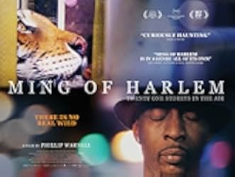 Ming of Harlem: Twenty One Storeys in the Air 2014
