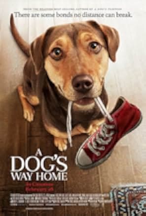 A Dog's Way Home 2019