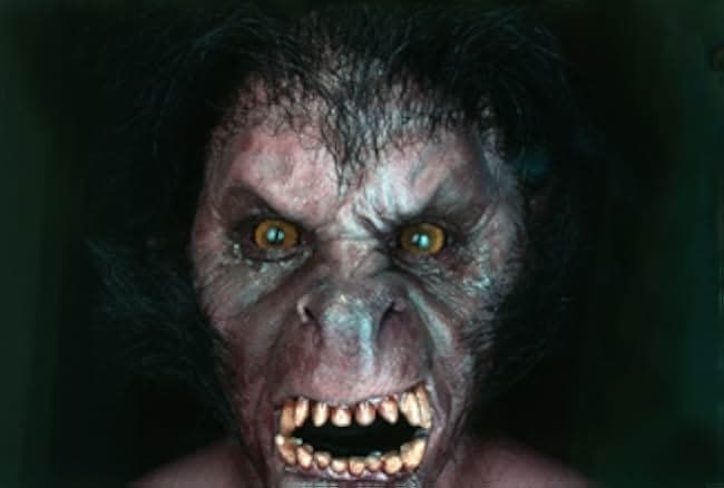 An American Werewolf in London 1981
