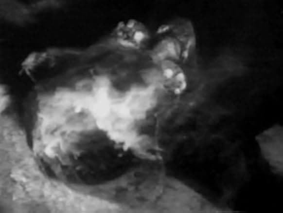 The Wasp Woman 1959
