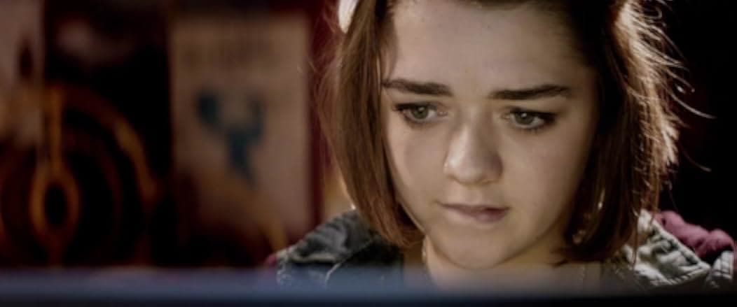 Cyberbully 2015