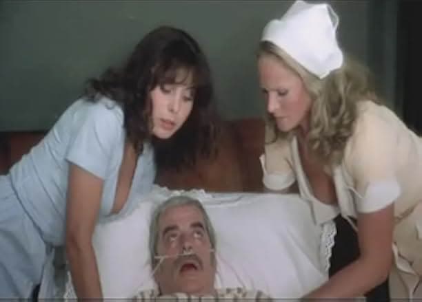 The Sensuous Nurse 1975