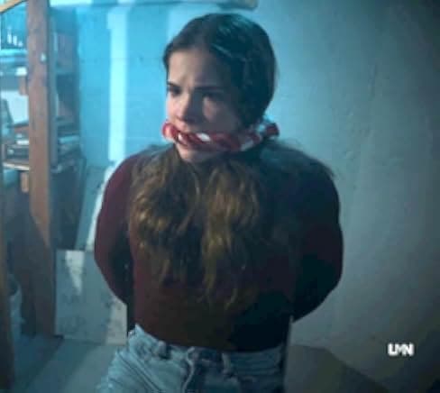 The Book Club Murders 2024