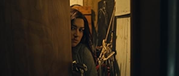 Stranger in the Woods 2024
