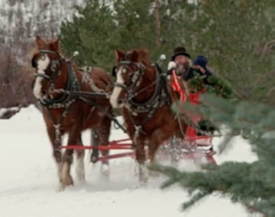 Matchmaker Christmas 2019