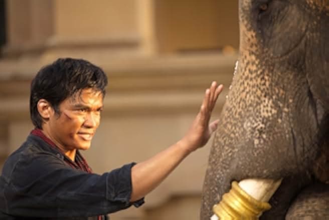 The Protector 2 2013