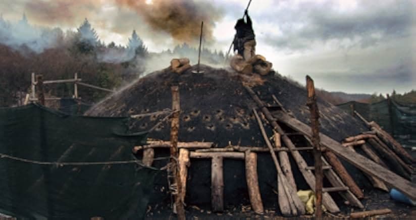 Le Quattro Volte 2010