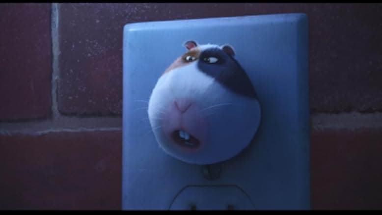 Norman Television 2016